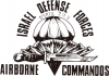 Israeli Airborne Commandos T-Shirt by aJudaica