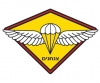 IDF Paratrooper Emblem T-Shirt by aJudaica