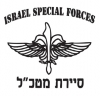 IDF Special Forces Sayeret Matkal T-Shirt by aJudaica