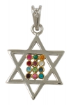 Gold Filled Rhodium Twelve Tribes Star of David Pendant