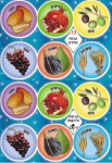 Seven Species Stickers