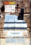 Kotel Paz Silk Tallit