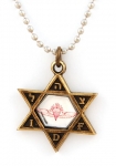Israeli Army Star of David Bronze Pendant - Paratroopers