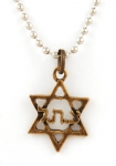 Israeli Army Star of David "ZHL" Bronze Pendant