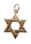 Gold Filled Textured Star of David Pendant
