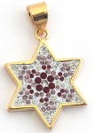Ruby and Zircon Star of David Pendant