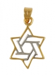 Gold Filled Two Color Star of David Pendant