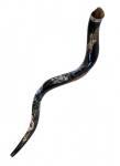 Collectors Hand Painted Yemenite Shofar - Noah