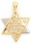 Gold Filled Shema Two Color Star of David Pendant