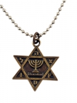 Israeli Army Star of David Bronze Pendant - Menorah