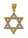Gold Filled Two Tone Star of David Pendant