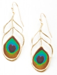 Peacock Feather Earrings