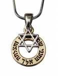 Rhodium Star of David Necklace for bounty and success