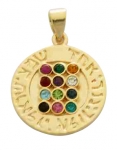 Gold Filled Circle Twelve Tribes Pendant