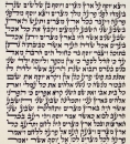 Sephardic Torah Scroll