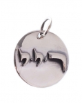 Sterling Silver Kabbalah Pendant - for Removing Hatred