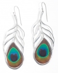 Large Peacock Feather Earrings