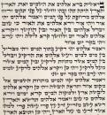 Ashkenaz Torah Scroll - Ktav Ari