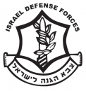 IDF Emblem T-Shirt