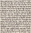 Ashkenaz Torah Scroll - Ktav Beit Yossef