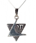 Sterling Silver Star of David with Chai Pendant