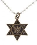 Israel Air Force Star of David Bronze Pendant