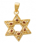 Gold Filled Star of David Garnet Pendant