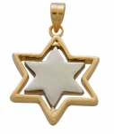 Two tone Star of David Pendant