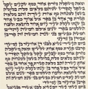 Ashkenaz Torah Scroll - Ktav Ari