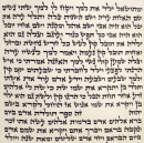Ashkenaz Torah Scroll - Ktav Beit Yossef