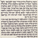 Ashkenaz Torah Scroll - Ktav Beit Yossef