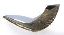 Black Rams Horn Shofar sizes 10"-16" - Natural
