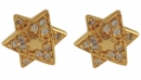 Gold Filled Star of David Earrings