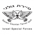 IDF Sayeret Golani T-Shirt by aJudaica