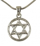 Rhodium Circle Star of David Necklace