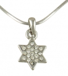 Rhodium Star of David Pendant with chain