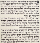 Ashkenaz Ktav Ari Torah Scroll