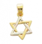 Gold Filled Mini Star of David Pendant