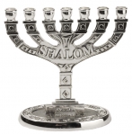 Silver Color Seven Branch Menorah