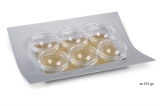 Adi Sidler Silver-Gold Contemporary Seder Plate