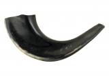 Small Black Rams Horn Shofar - Polished