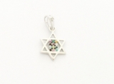 Gold Filled Rhodium Mini Twelve Tribes Star of David Pendant