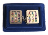 Breastplate Tallit Clips