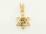 Gold Filled Mini Twelve Tribes Star of David Pendant