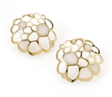 Pearl Colored Studd Earrings