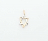 Gold Filled Miniature Two Tone Star of David Pendant