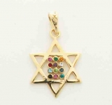 Gold Filled Twelve Tribes Star of David Pendant