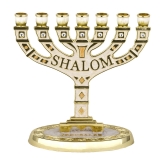 Ivory Enamel Menorah