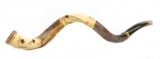 Jumbo Yemenite Hand Painted Shofar - Pomegranate Design