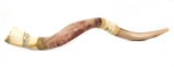 Jumbo Yemenite Hand Painted Shofar - Jerusalem Design